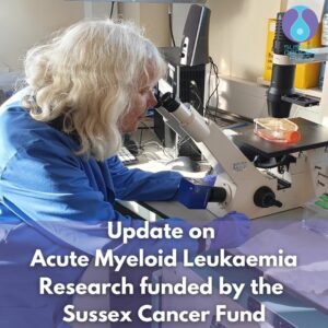 Acute Myeloid Leukaemia Research