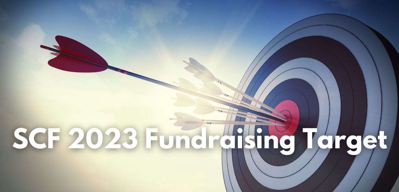 How can I give to charity? SCF 2022 Fundraising Target